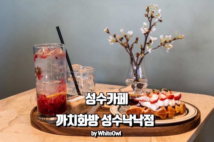  성수 카페 꽃향기가 가득한 까치화방 성수낙낙점