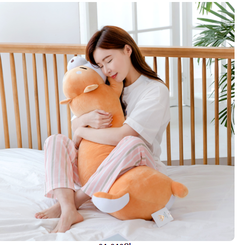  눈치보다 놓친다는 바디필로우 인형 이 가격에 판다고? 강추합니다! 1 nd 20 리스트정보