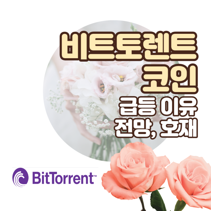  업비트 비트토렌트 코인 시세 전망 알아보자