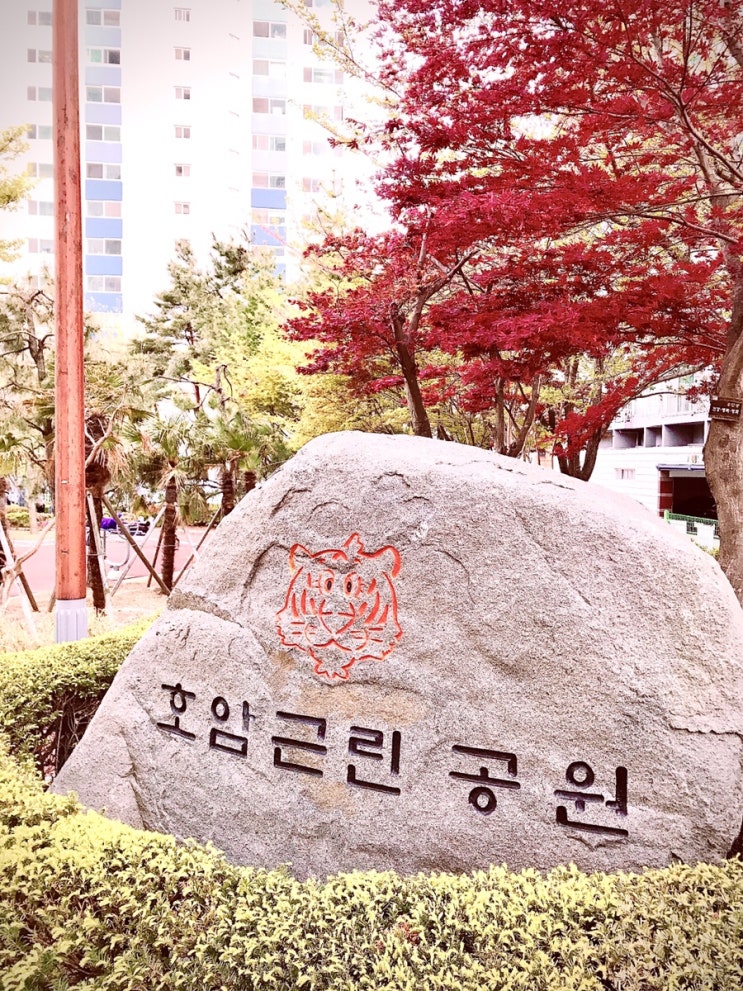  [우리동네 걷기 좋은 곳] 호암 근린 공원～