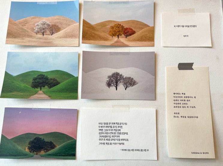  [경주 황리단길 산책] 처음 걸어보는 길. 예쁜 가게 들 ‘서점 어서 어서’, ‘호떡당’, ‘천마 문구완구 백화점’, '동네 점방'