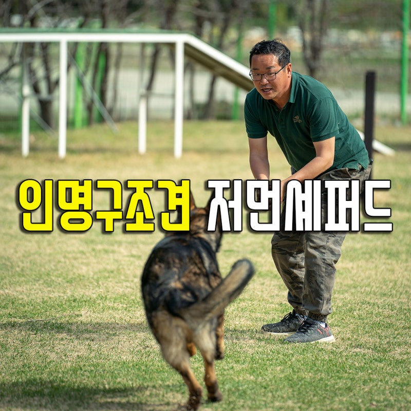 사진 4
