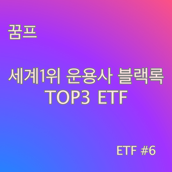 2021년 블랙록 BlackRock TOP3 ETF #6