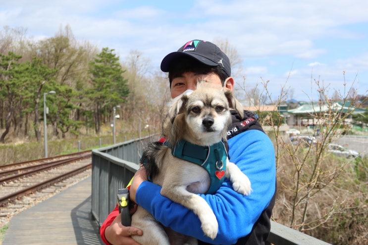  노원 강아지 산책하기 좋은 경춘선 숲길 화랑대