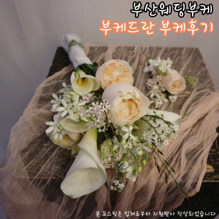  서면꽃집 웨딩부케추천 부케드란 촬영용 부케 후기