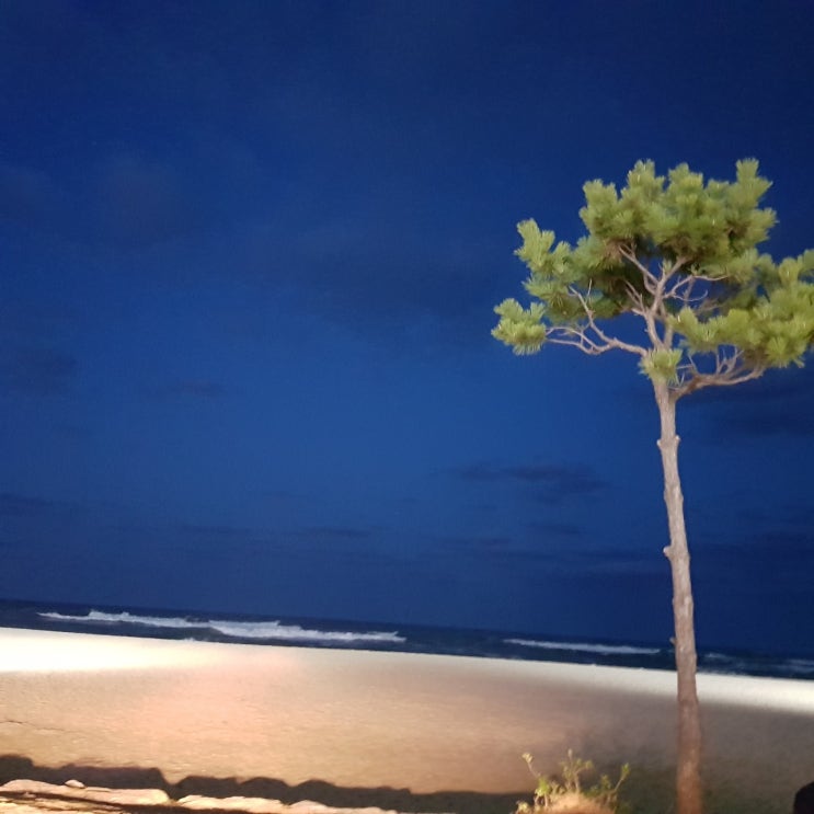  양양 낙산, 밤바다를 바라보며 생각 1부터 3까지