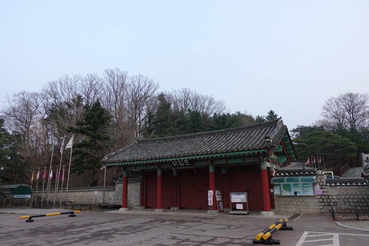  가슴 두근거림 원인과 불면증 치료