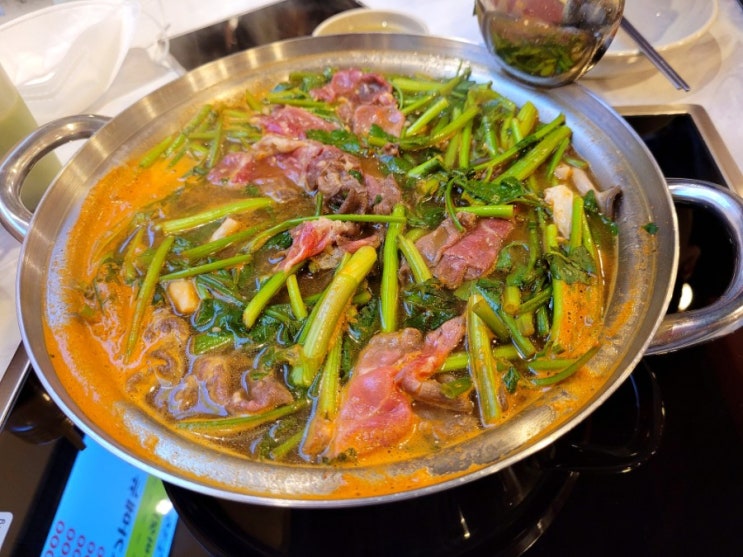  처인구 맛집 복성칼국수 용인
