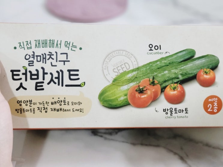  #집에서 토마토키우기 도전ㅋ#