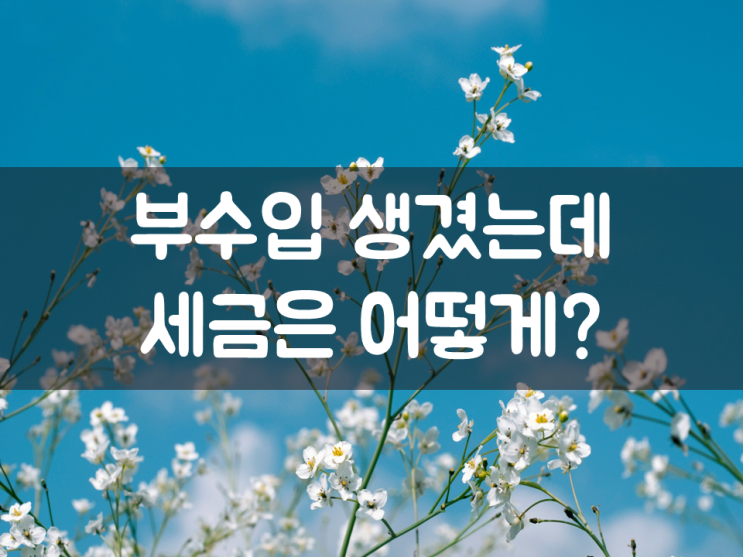  부수입 생겼는데, 세금은 어떻게?
