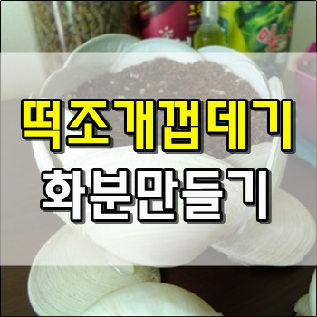 떡조개 껍데기로 만든 다육이 화분 DIY