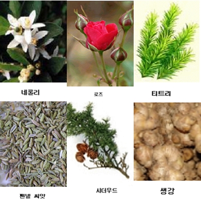  아로마오일
