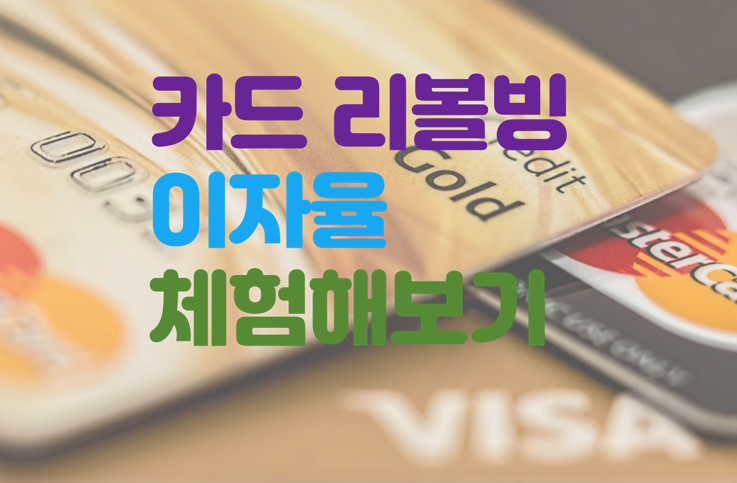  10%넘는 신용카드 리볼빙 이자율 체험하기