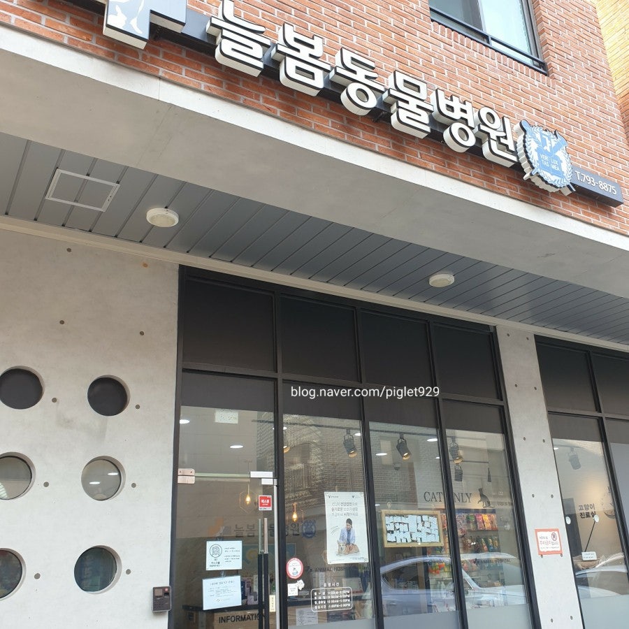 미사늘봄동물병원 사진 2