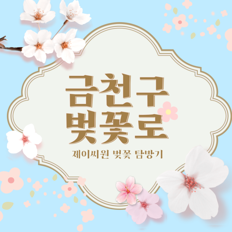  벚꽃 명소 제이씨원 금천구 벚꽃로 탐방기, 가산 벚꽃