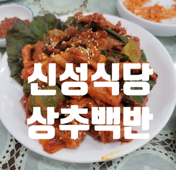  광주 충장로 상추백반 점심 신성식당 집밥