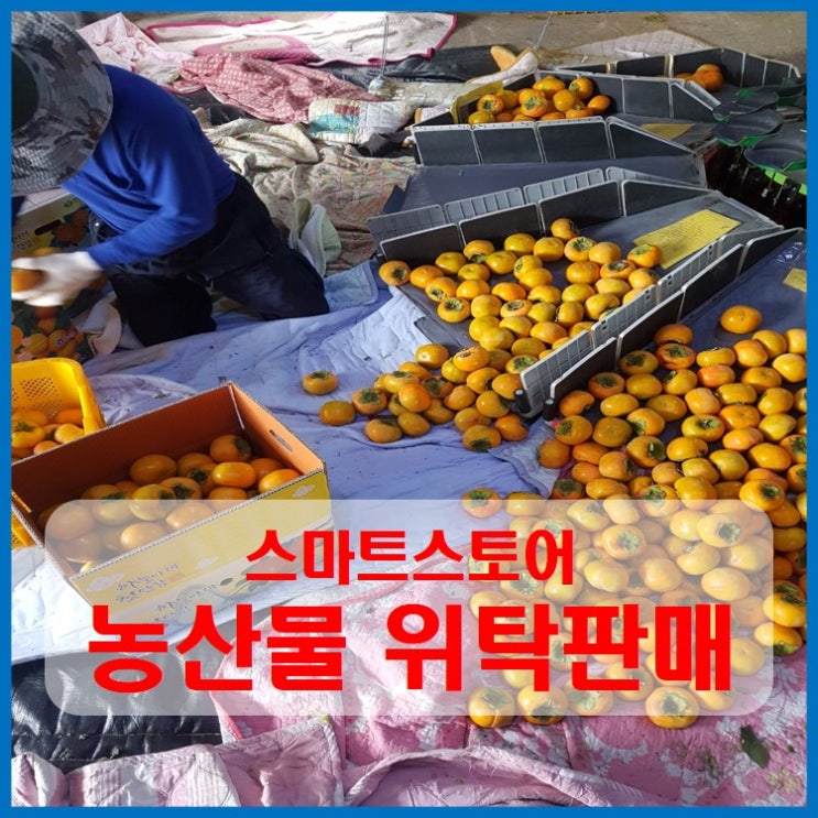  농산물 스마트스토어 위탁판매의 장단점