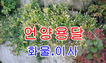 언양용달 범서 반천.