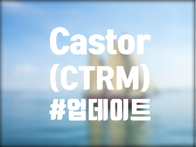 Castor Maritime (CTRM) 주식, 주가 및 전망 - CEO도 고평가됐다고 인정한 벌크선 관련주?