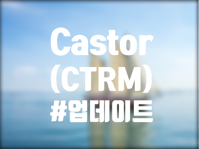  Castor Maritime (CTRM) 주식, 주가 및 전망 - CEO도 고평가됐다고 인정한 벌크선 관련주?