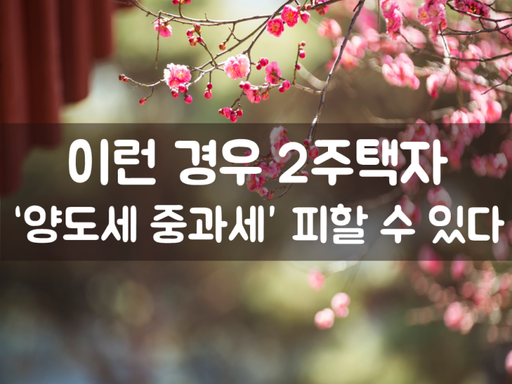  이런 경우 2주택자 ‘양도세 중과세’ 피할 수 있다