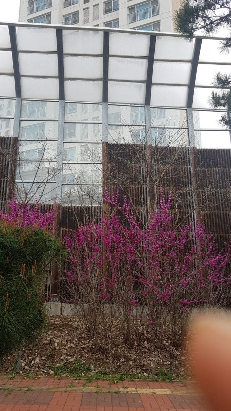 영남대 (*여교수) 동료 교수가 성폭행 강간 혐의로 고소_총장도 강요 혐의로 함께 고소 영남대 (*여교수) 동료 교수가 성폭행 강간 혐의로 고소_총장도 강요 혐의로 함께 고소