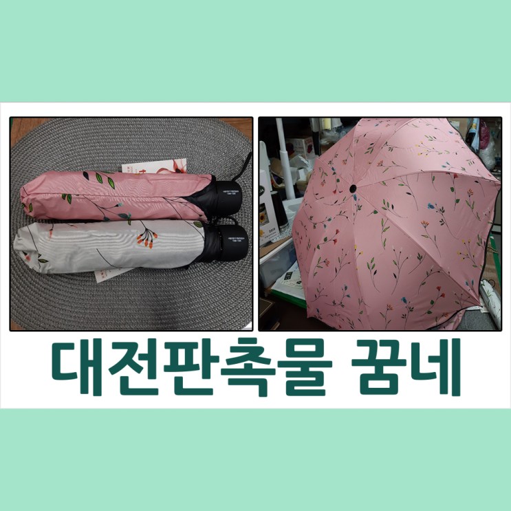 대전판촉물 양우산/장우산/2단우산/3단우산/5단우산-꿈네기프트