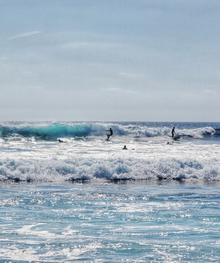 San Diego 여행 둘째날, 샌디에고 맛집 필스바베큐와 캘리포니아 최고의 서핑명소 윈단시비치