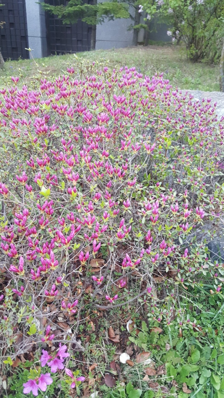  포일자이 주변 사진  4/7