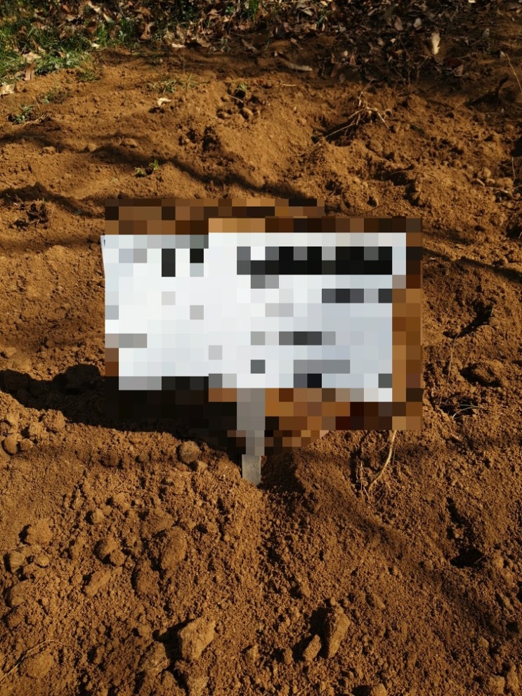  2021년 경북 김천시 지좌동 산20-1 지좌동 공동묘지 이전에따른 분묘보상 5기작업 고인돌장묘개발 장의사
