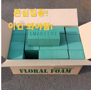 이 가격대에선 제일 좋은거같습니다 너무 갖고싶은 "꽃꽂이 오아시스 선택 알아봅시다 사람들이 왜이렇게 찾는지 알거같네요 이 가격대에선 제일 좋은거같습니다 너무 갖고싶은 "꽃꽂이 오아시스 선택 알아봅시다 사람들이 왜이렇게 찾는지 알거같네요