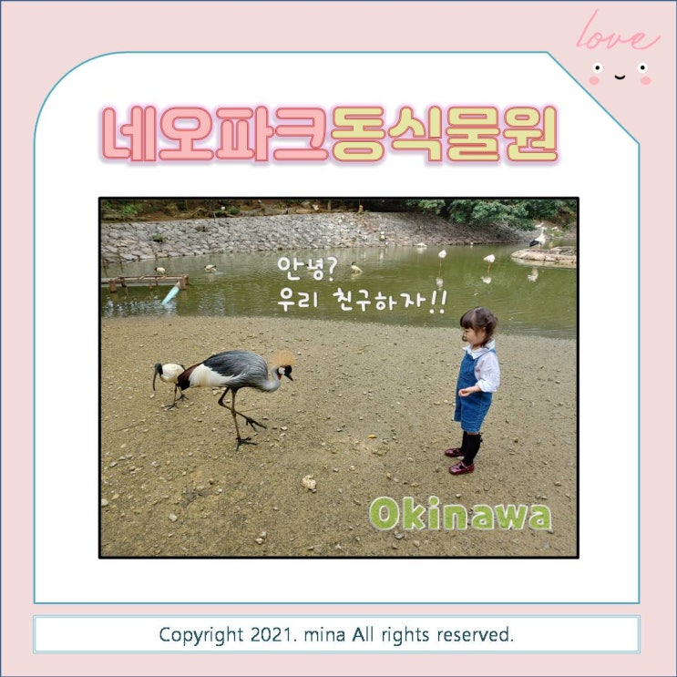  아이랑 갈 만한 여행지 추천 / 일본 오키나와 네오파크동식물원