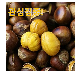 인스타에서도 난리난 그 상품! 갖고싶은 공주알밤칼집밤(군밤용밤)3kg 픽미 함께 확인해요. 갖고싶네요. 인스타에서도 난리난 그 상품! 갖고싶은 공주알밤칼집밤(군밤용밤)3kg 픽미 함께 확인해요. 갖고싶네요.