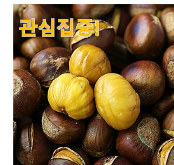 인스타에서도 난리난 그 상품! 갖고싶은 공주알밤칼집밤(군밤용밤)3kg 픽미 함께 확인해요. 갖고싶네요.