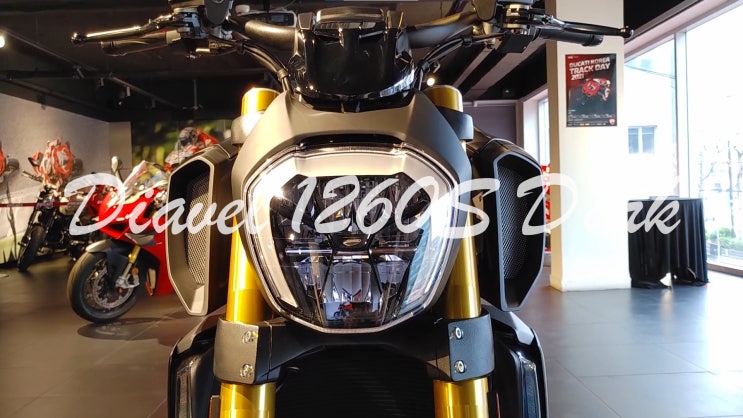  두카티 디아벨 1260S 다크 / Ducati Diavel 1260S Dark walk around