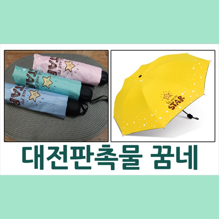  대전판촉물 대전지방국토관리청 양우산 납품