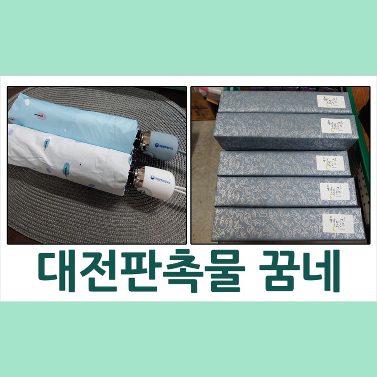 대전판촉물 국립문화재 연구소 구름나무3단우산 납품