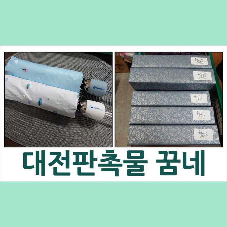 대전판촉물 국립문화재 연구소 구름나무3단우산 납품