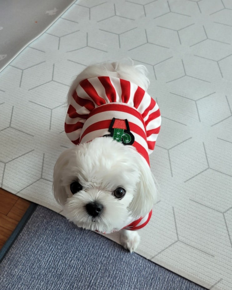  날씨 넘 좋은데....