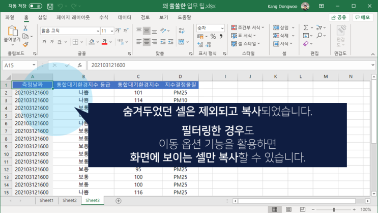  엑셀 | 화면에 보이는 셀만 복사하기