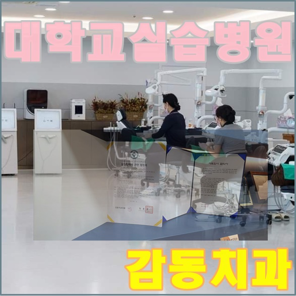  당감동감동치과에서 배우고 싶어요 대학교실습병원