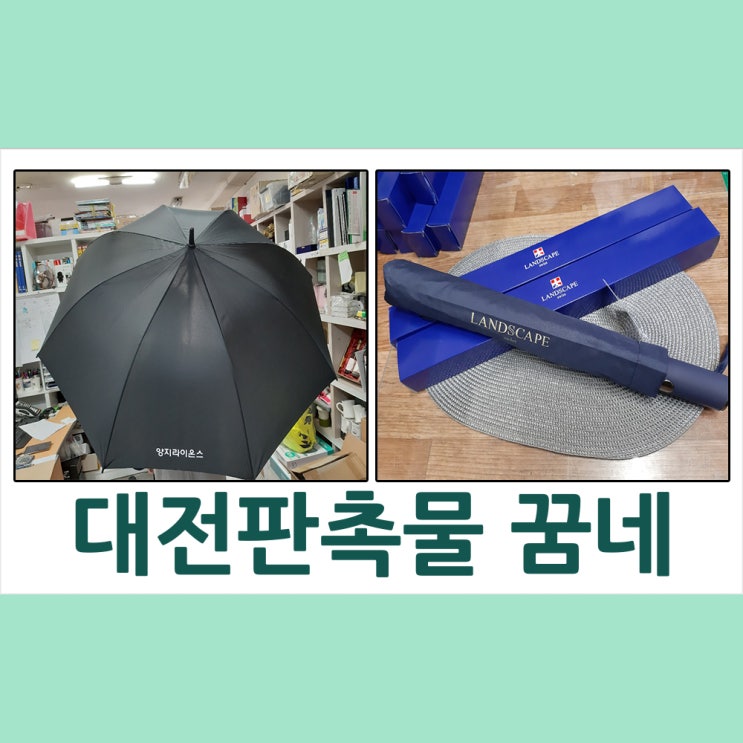  대전판촉물 양지라이온스 장우산&대전대학교사회복지학과 2단우산 납품
