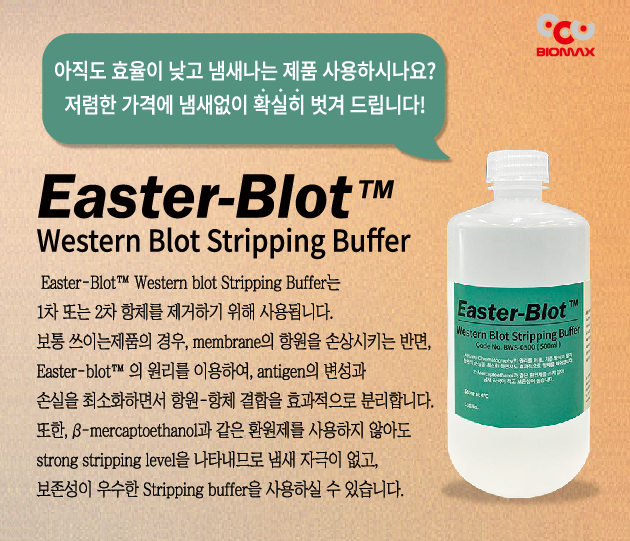 Easter-Blot Western Blot Stripping Buffer