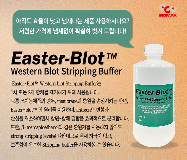  Easter-Blot Western Blot Stripping Buffer