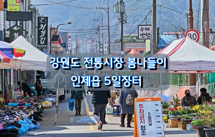 강원도 전통시장 봄나들이 인제읍 5일장터 강원도 전통시장 봄나들이 인제읍 5일장터