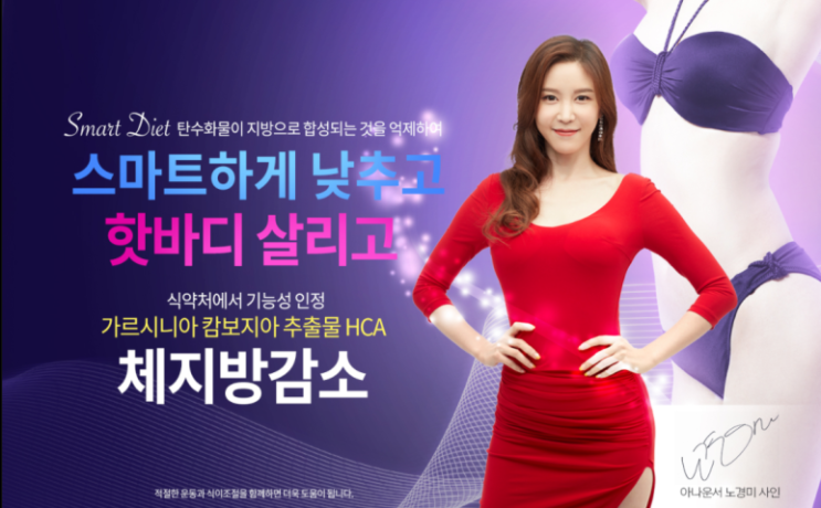  복부지방 내장지방 식단조절 '스마트 다이어트' 다이어트경남제약 스마트 다이어트