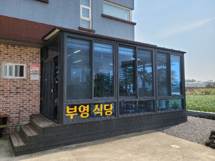  제주도 함덕맛집 부영식당에서 얼큰 동태찌개 한그릇 하실 래요?