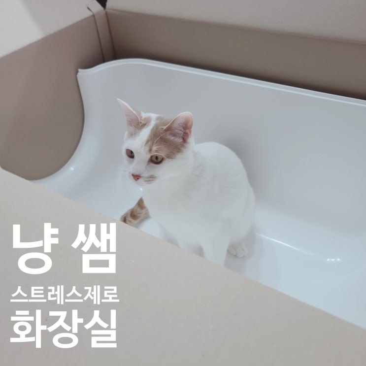  냥쌤 스트레스제로 화장실. 고양이화장실 추천. 초대형고양이화장실.