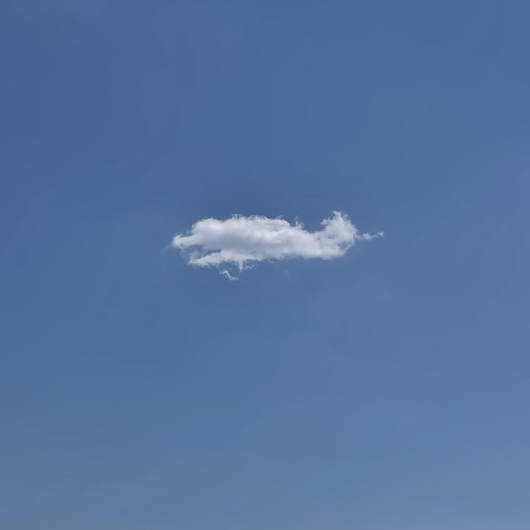  3월 넷째 주
