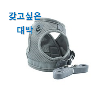 왜 인기있는지 알겠어요 선물하기 좋은 "고양이 하네스 픽미 드디어 발견 저는추천 확정 왜 인기있는지 알겠어요 선물하기 좋은 "고양이 하네스 픽미 드디어 발견 저는추천 확정